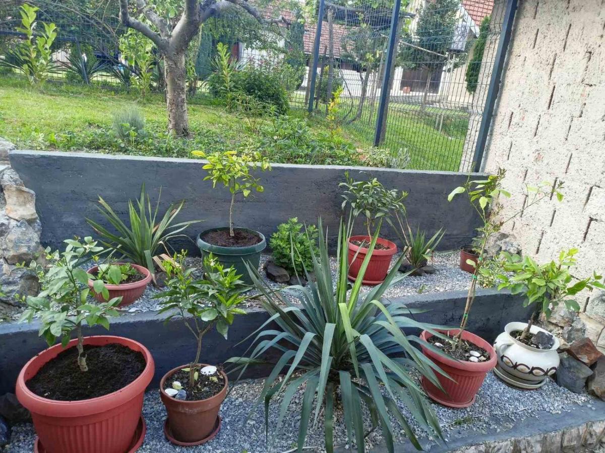 Apartman Excluziv Prijedor Exterior photo